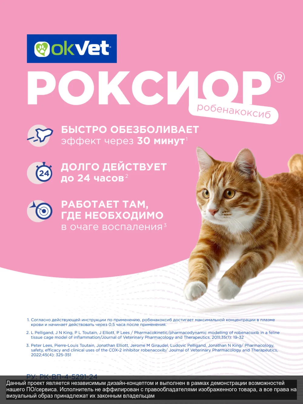 Roxior — слайд 4