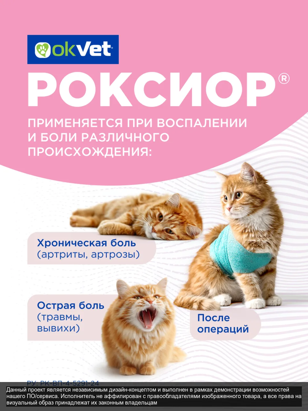 Roxior — слайд 5